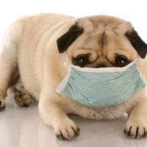 Meet your Posher, Candice